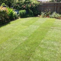 Oxford Lawn Replaced