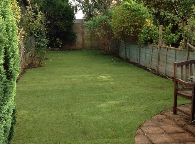 Garden in Oxford Revived